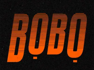 Adekunle Gold – Bobo ft. Lojay & Shoday