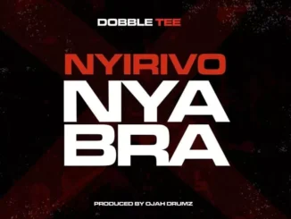 Double Tee – Nyirivo Nyabra Mp3 Download