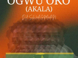 Dj Swagman – Ogwu Oko (Akala) Mp3 Download