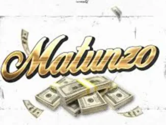 D Voice – Matunzo Mp3 Download