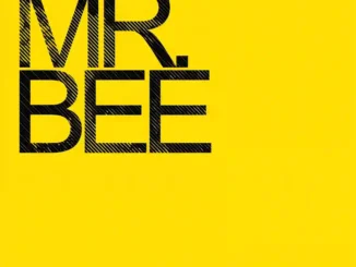 Rybeena – Mr Bee EP (Album) Mp3 Download