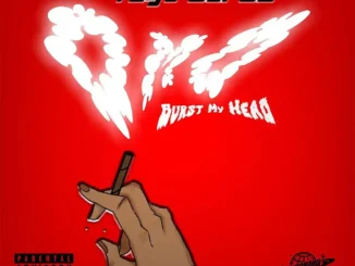 Tega boi dc – Omo (Burst My Head) Mp3 Download
