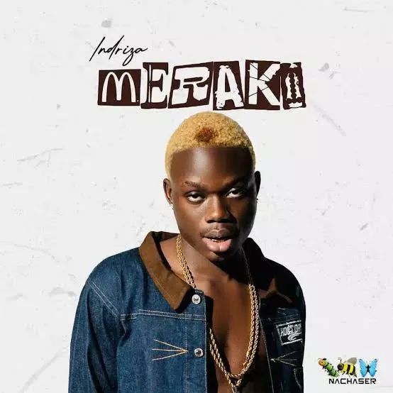 Indriza_-_Ambassador